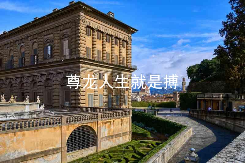 尊龙人生就是搏