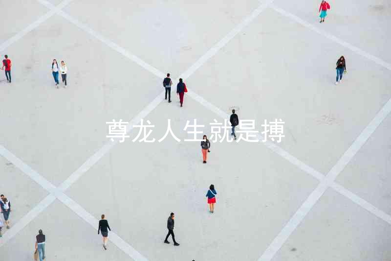 尊龙人生就是搏