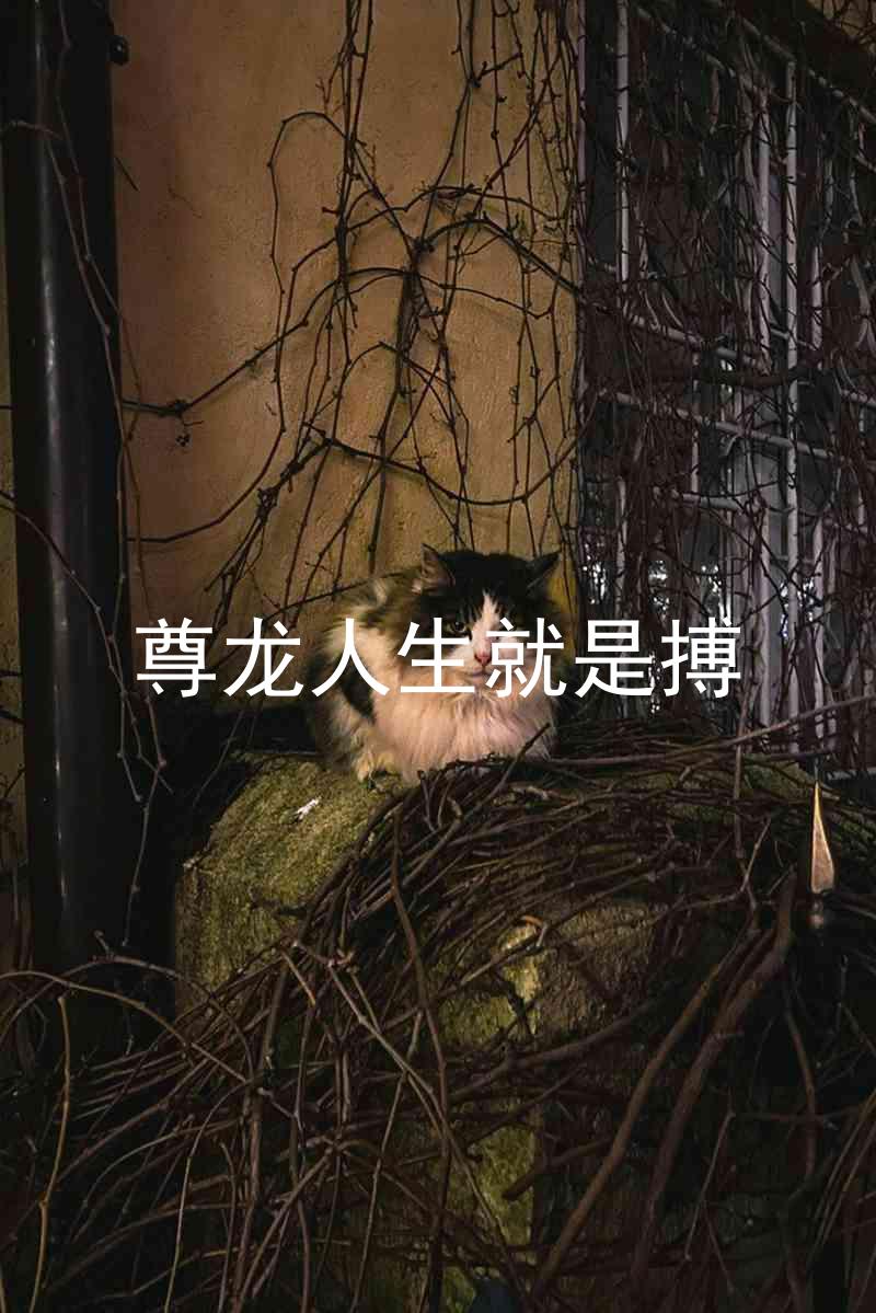 尊龙人生就是搏